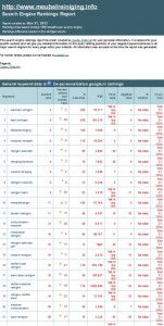 meubelreiniging-ranking-resultaat-seo-service